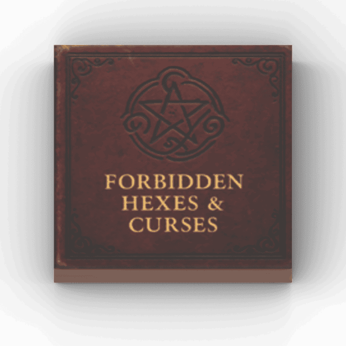 2x2 Fliese/Tile Magic World Buch "Hexes & Curses"
